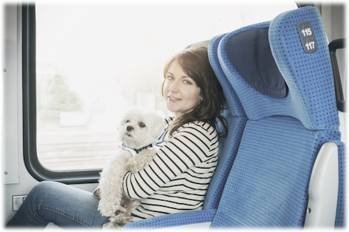 Service Emotional Support Therapy Dog Travel