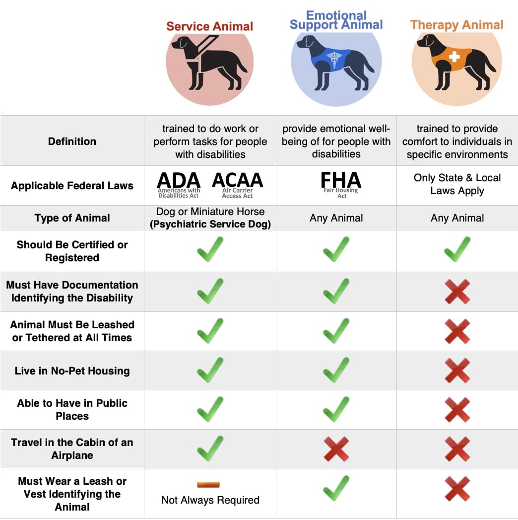 What's the difference between a service dog and emotional support animal?